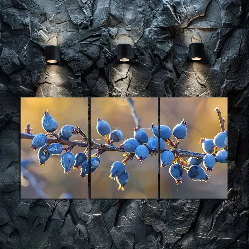 3pcs The Berries of the Bearberry plant Wall Art Set Canvas Framed 60x90cm - High Quality Print 100% Australian Made Wall Canvas Ready to Hang