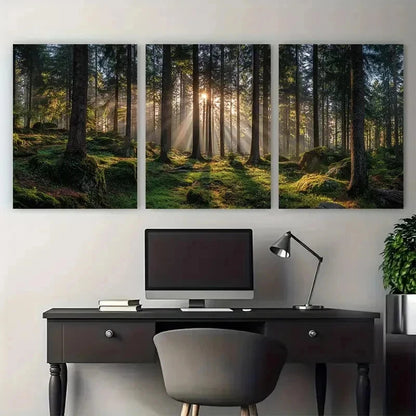 3pcs Scenic Sunrise In Forest Nature Perfect Wall Art Set Canvas Framed 40x60cm - High Quality Print 100% Australian Made Wall Canvas Ready to Hang