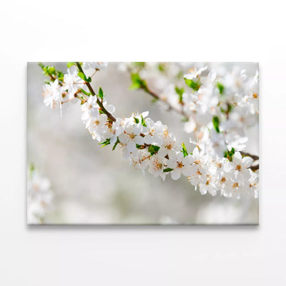 Elegant White Plum Blossom Wall Art Decor 100% Australian Made - Bella Home Decor