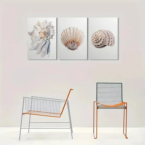 3pcs Beach Decor Seashell Coastal Wall Art Canvas Unframed - High Quality Print 100% Australian Made Wall Canvas - Bella Home Decor