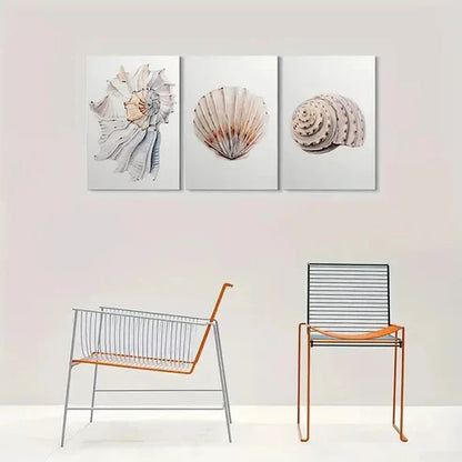 3pcs Beach Decor Seashell Coastal Wall Art Canvas Unframed - High Quality Print 100% Australian Made Wall Canvas - Bella Home Decor