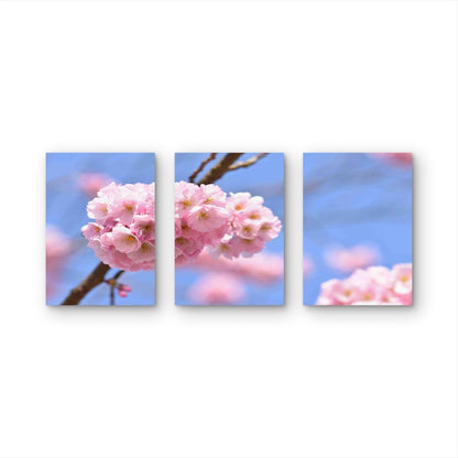 3pcs Blossom Tree Nature Background Metal Print Ready to Hang Art