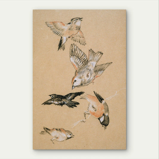 Vintage Sketch Style Flying Birds Minimalist 40x60cm Metal Print Ready to Hang
