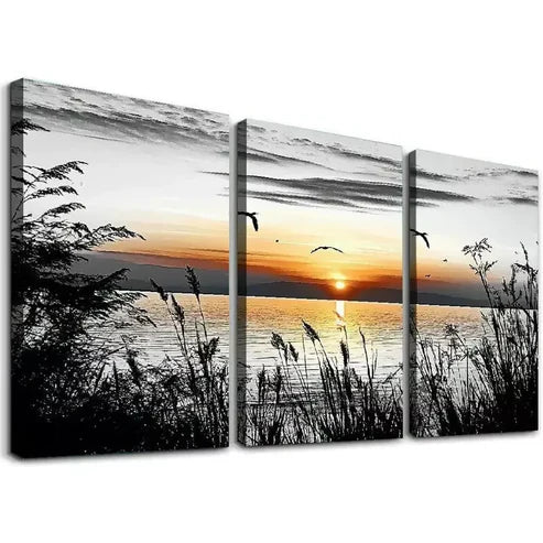 3pcs Abstract Modern Black and White Nature Canvas Unframed - High Quality Print 100% Australian Made Wall Canvas - Bella Home Decor