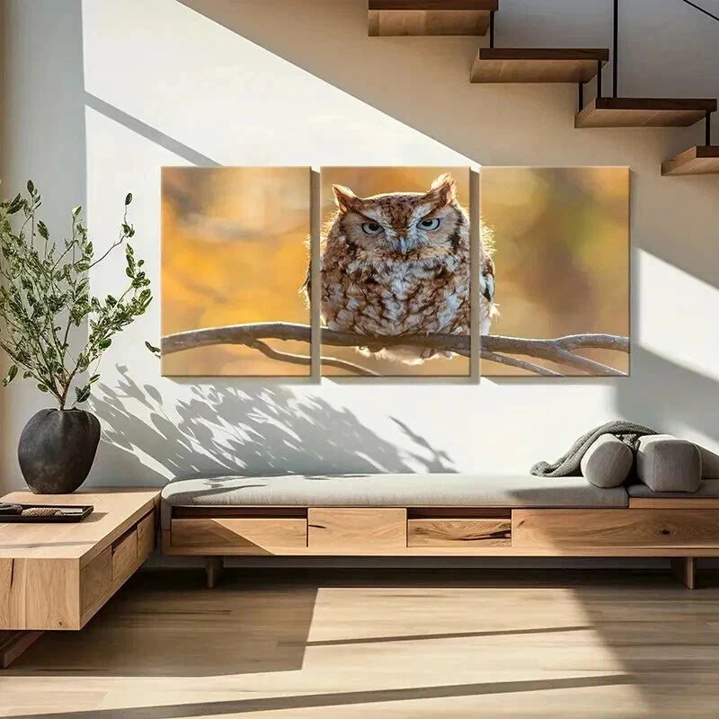 3pcs Animal Art Cute Owl Bird on a Branch Wall Art Set Canvas Framed 40x60cm - High Quality Print 100% Australian Made Wall Canvas Ready to Hang - Bella Home Decor