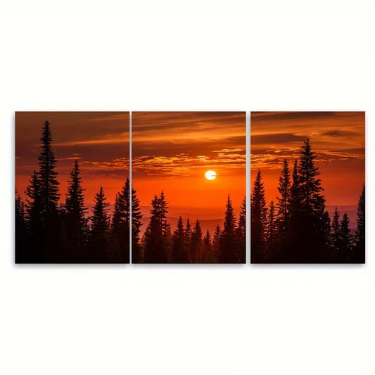 3pcs Sunlight On The Side Of Forest Metal Print Ready to Hang Art