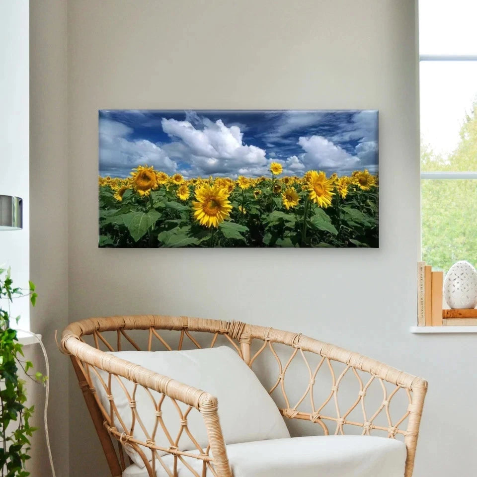 Vibrant Sunflower Field Blue SkyWall Art Canvas Office Home Room Framed 120x60cm