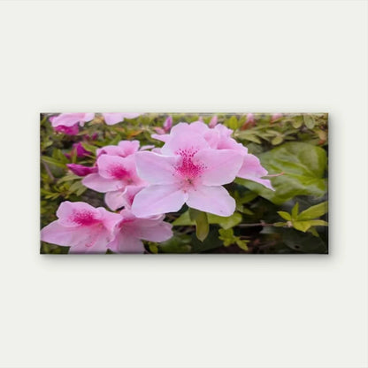 Pink Azalea Flowers Wall Art Canvas Office Home Room Framed 120x60cm
