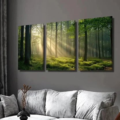 3pcs Sunlight Shining Through Green Forest Wall Art Set Canvas Unframed - High Quality Print 100% Australian Made Wall Canvas