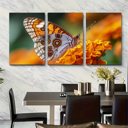 3pcs Macro Butterfly Moth Metal Print Ready to Hang Art