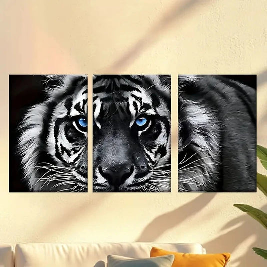 3pcs A white tiger with blue eyes Wall Art Set Canvas Framed 50x70cm - High Quality Print 100% Australian Made Wall Canvas Ready to Hang