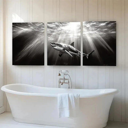 3pcs Monochrome Great White Shark Perfect Wall Art Set Canvas Framed 40x60cm - High Quality Print 100% Australian Made Wall Canvas Ready to Hang - Bella Home Decor