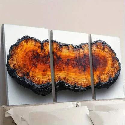 3pcs Oak Wood Tree Rings & Abstract Nature OK Wall Art Canvas Unframed – High Quality Print 100% Australian Made Wall Canvas