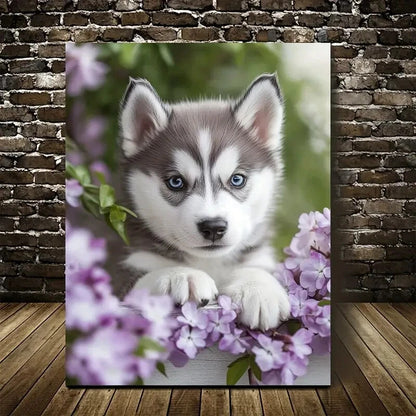 Adorable Siberian Husky Puppy with Blue Eyes 40x60cm Metal Print Ready to Hang - Bella Home Decor