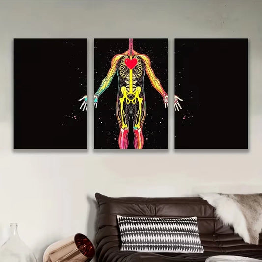 3pcs Vibrant Human Body Anatomy Metal Print Ready to Hang Art