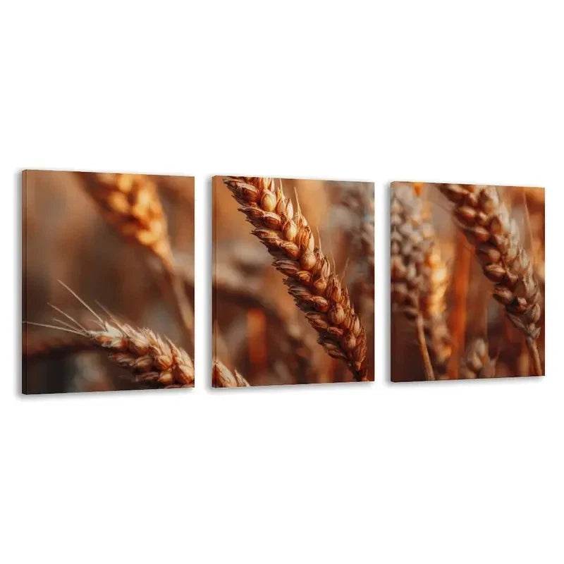 3pcs Golden Wheat Stalks in Brown & Tones   Wall Art Set Canvas Framed 50x70cm - High Quality Print 100% Australian Made Wall Canvas Ready to Hang - Bella Home Decor