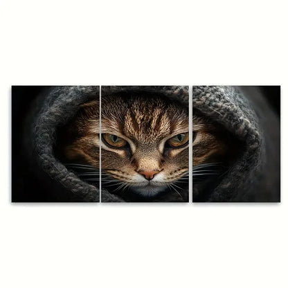 3pcs Angry Cat Wool Blanket deco     Wall Art Set Canvas Framed 50x70cm - High Quality Print 100% Australian Made Wall Canvas Ready to Hang - Bella Home Decor