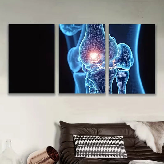 3pcs Skeleton And Joints Metal Print Ready to Hang Art