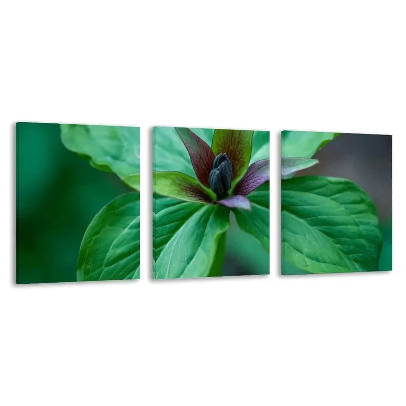 3pcs Vibrant Green Leaves & Purple Flower Bud   Wall Art Set Canvas Framed 60x90cm - High Quality Print 100% Australian Made Wall Canvas Ready to Hang - Bella Home Decor