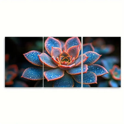 3pcs Vibrant Abstract Succulent Floral Photo Wall Art Set Canvas Framed 60x90cm - High Quality Print 100% Australian Made Wall Canvas Ready to Hang