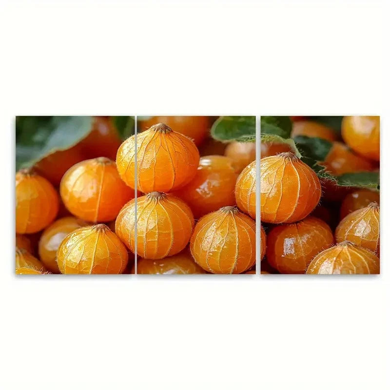 3pcs Cape Gooseberry Physalis Fruit Metal Print Ready to Hang Art - Bella Home Decor