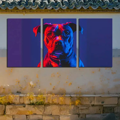 3pcsBull Dog Under Dual lights Wall Art Set Canvas Framed 50x70cm - High Quality Print 100% Australian Made Wall Canvas Ready to Hang