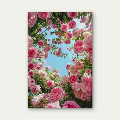 Elegant Rose Canopy Metal Print Ready to Hang
