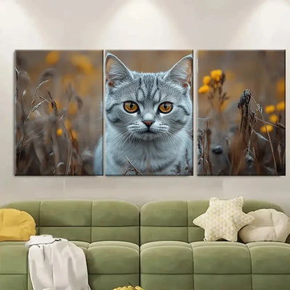 3pcs Feisty Silvery Tabby Cat ri  Wall Art Set Canvas Framed 60x90cm - High Quality Print 100% Australian Made Wall Canvas Ready to Hang