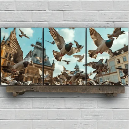 3pcs Pigeons On Buildings Square Metal Print Ready to Hang Art - Bella Home Decor