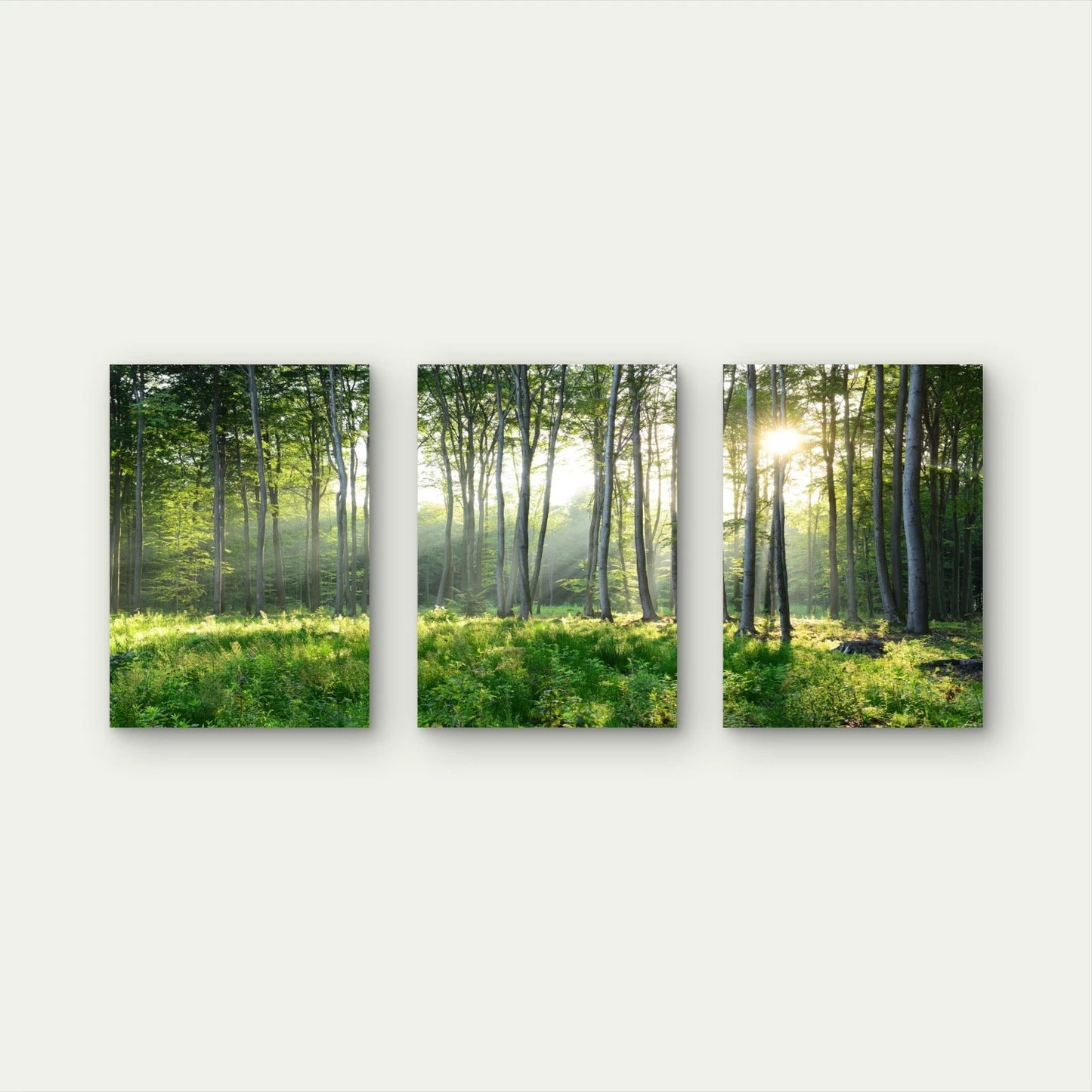 3pcs Golden Sunbeams Pierce Through Forest Tree Wall Art Set Canvas Framed 40x60cm - High Quality Print 100% Australian Made Wall Canvas Ready to Hang - Bella Home Decor