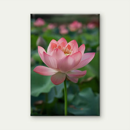 Beautiful Pink Lotus in Full Bloom 60x90cm Metal Print Ready to Hang