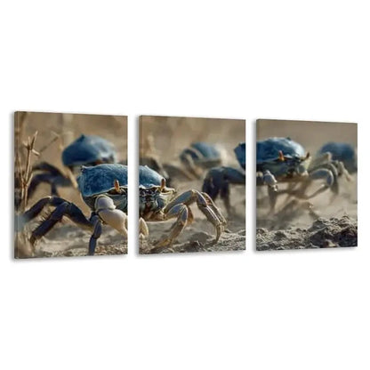 3pcs Group of Crabs Carrying Blue Shells  Wall Art Set Canvas Framed 40x60cm - High Quality Print 100% Australian Made Wall Canvas Ready to Hang