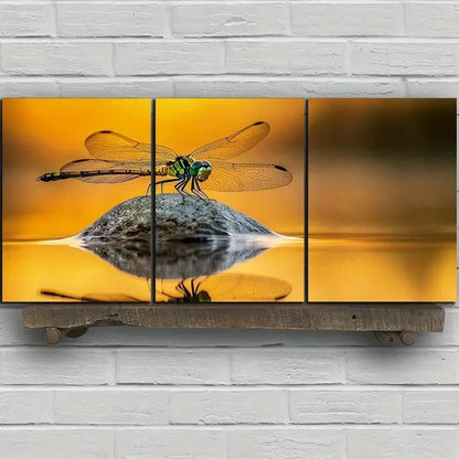 3pcs Dragonfly On Stone River Side Metal Print Ready to Hang Art - Bella Home Decor