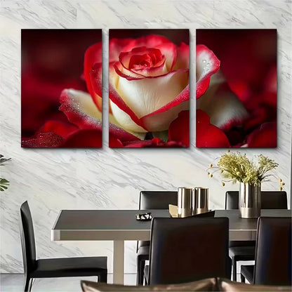 3pcs Red White Rose Petals Metal Print Ready to Hang Art