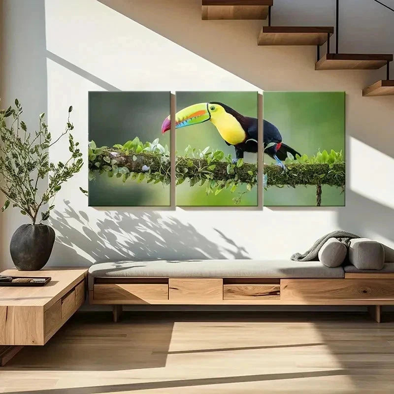 3pcs Bird  Animal Art Toucan Portrait Wall Art Set Canvas Framed 50x70cm - High Quality Print 100% Australian Made Wall Canvas Ready to Hang - Bella Home Decor