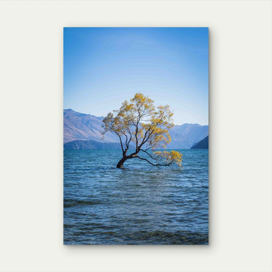 Tree By Sea Against Clear Blue Sky 60x90cm Metal Print Ready to Hang