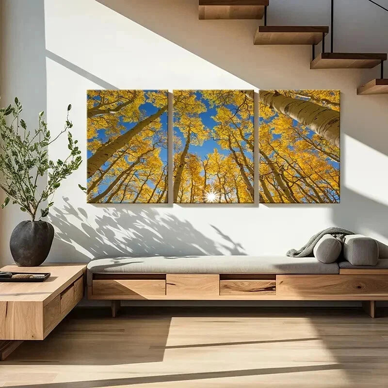 3pcs Autumn Golden Birch Forest Landscape Wall Art Set Canvas Framed 60x90cm - High Quality Print 100% Australian Made Wall Canvas Ready to Hang - Bella Home Decor