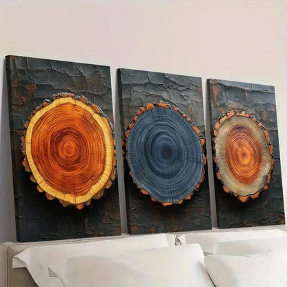 3pcs Set Wood Tree Rings Illustrations ER Wall Art Set Canvas Framed 50x70cm - High Quality Print 100% Australian Made Wall Canvas Ready to Hang