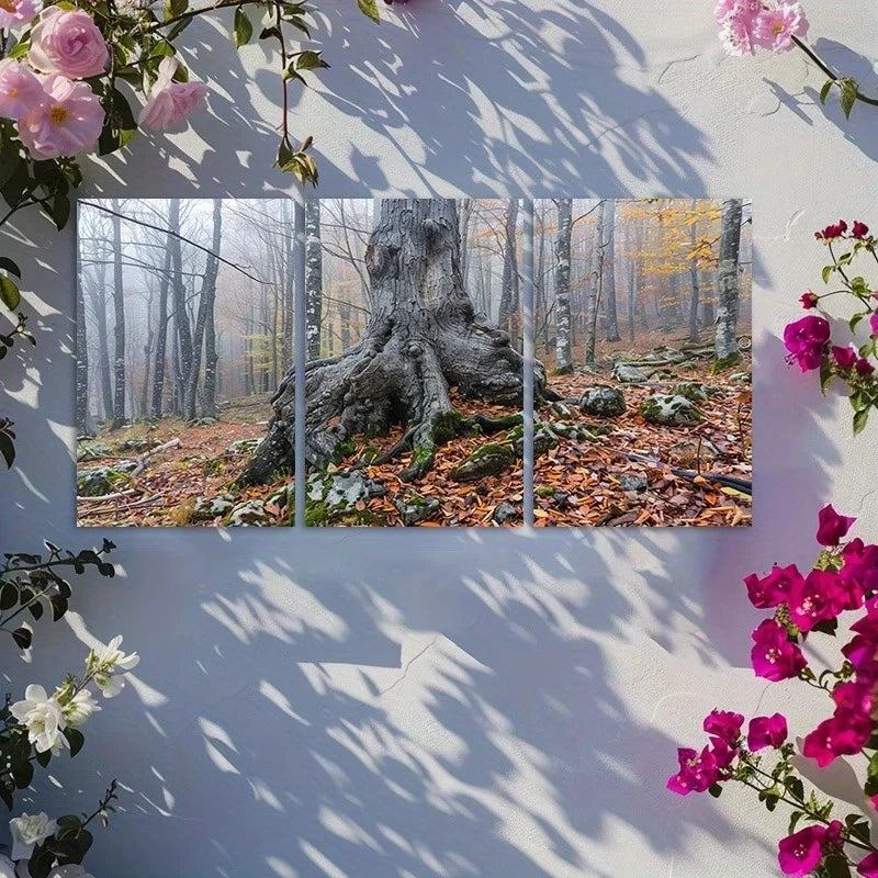 3pcs Old Gnarled Tree in Autumn Forest Metal Print Ready to Hang Art