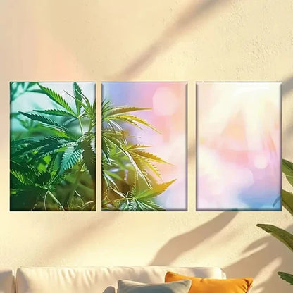 3pcs Artist Drawing Set Wall Art Canvas Unframed – High Quality Print 100% Australian Made Wall Canvas - Bella Home Decor