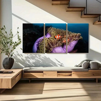 3pcs Vibrant Marine Life Wall Art with Clownfish Wall Art Set Canvas Framed 60x90cm - High Quality Print 100% Australian Made Wall Canvas Ready to Hang