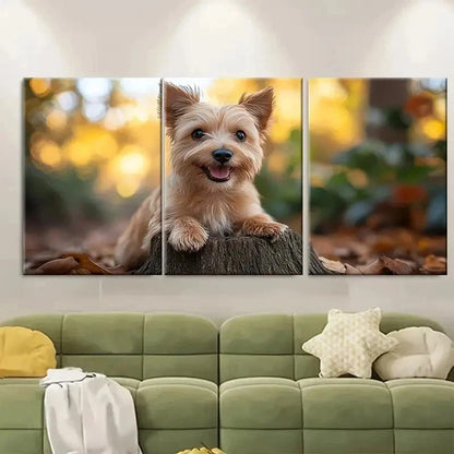 3pcs Norwich Terrier Dog BT    Wall Art Set Canvas Framed 60x90cm - High Quality Print 100% Australian Made Wall Canvas Ready to Hang