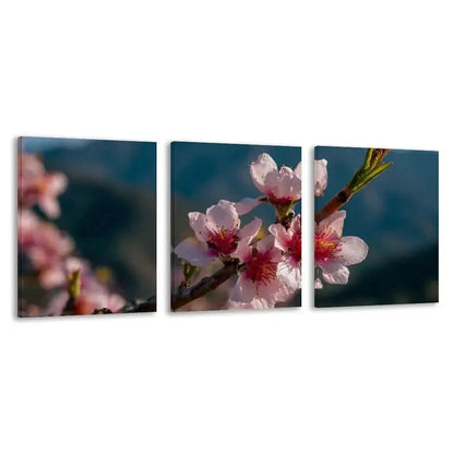 3pcs Peach Blossom Modern Decor  Wall Art Set  Canvas Framed 50x70cm - High Quality Print 100% Australian Made Wall Canvas Ready to Hang