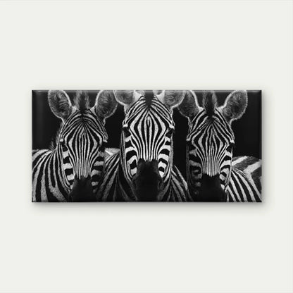 Zebra Triple Monochrome Wall Art Canvas Office Home Room Framed 120x60cm