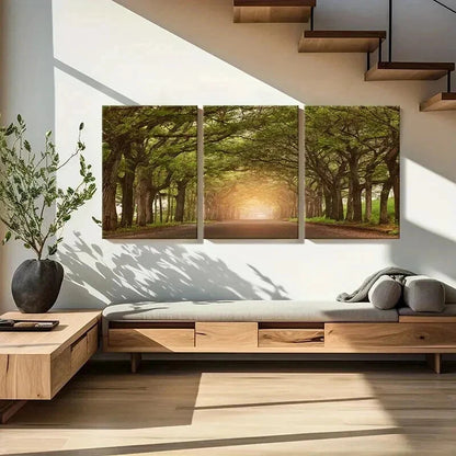 3pcs Sunshine Through Trees Roads Modern Wall Art Set Canvas Framed 40x60cm - High Quality Print 100% Australian Made Wall Canvas Ready to Hang - Bella Home Decor