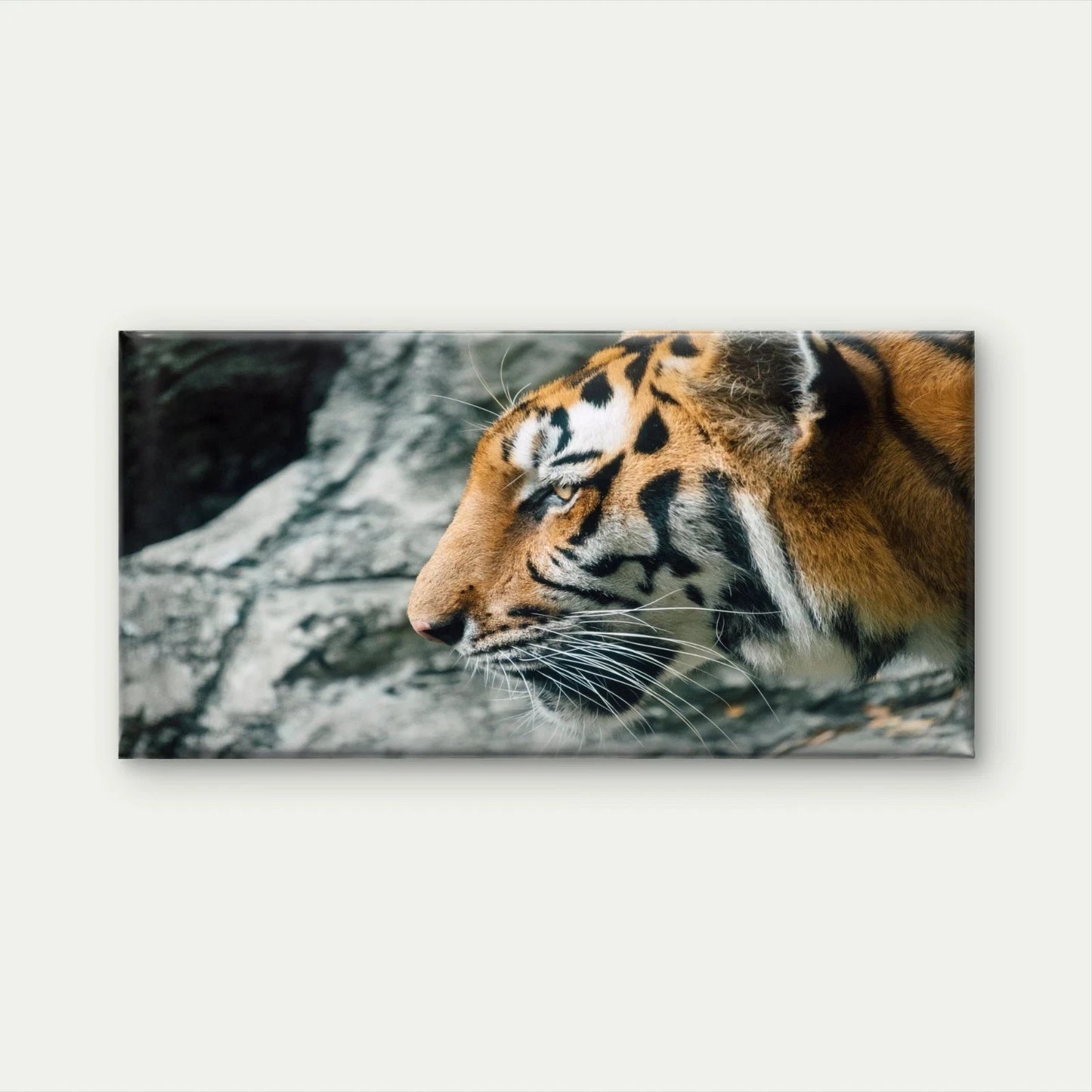 Asia Tiger Closeup Face Wall Art Canvas Office Home Room Framed 120x60cm