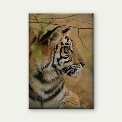 Majestic Tiger Realistic 60x90cm Metal Print Ready to Hang