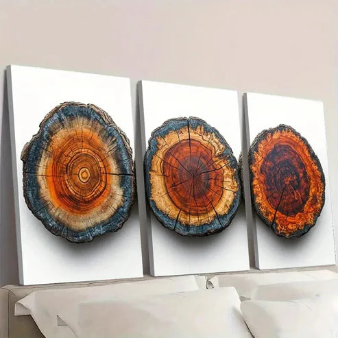 3pcs Wood Tree Rings PL Wall Art Set Canvas Unframed - High Quality Print 100% Australian Made Wall Canvas - Bella Home Decor