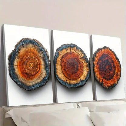 3pcs Wood Tree Rings PL Wall Art Set Canvas Unframed - High Quality Print 100% Australian Made Wall Canvas - Bella Home Decor