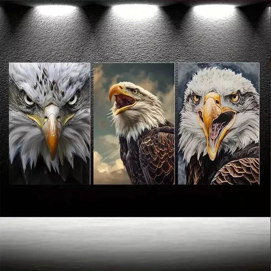 3pcs Realistic Bald Eagle Portraits Wall Art Set Canvas Framed 50x70cm - High Quality Print 100% Australian Made Wall Canvas Ready to Hang